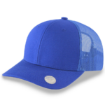Royal Blue Blank